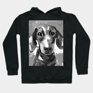 Black and white dachshund Hoodie